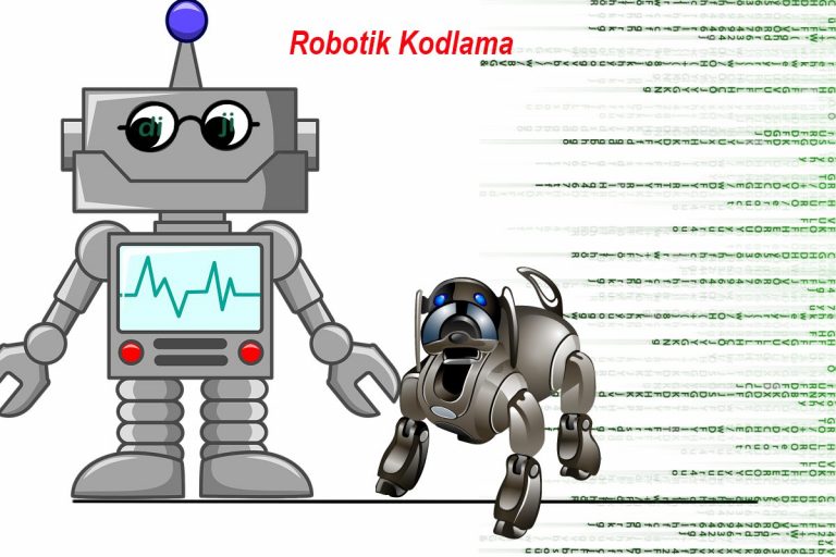 Robotik Kodlama Nedir